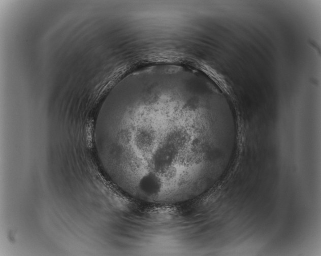 X0000100970065200806241601