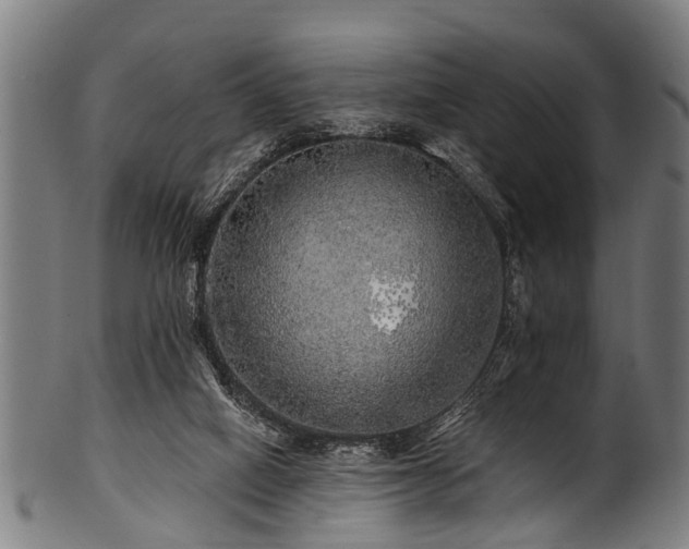 X0000100970066200806241601