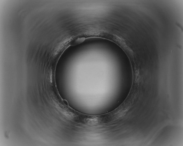 X0000100970068200806241601