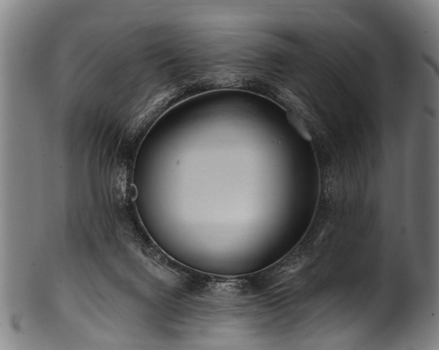 X0000100970072200806241601