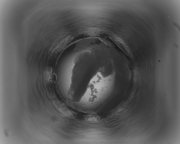 X0000100970073200806241601