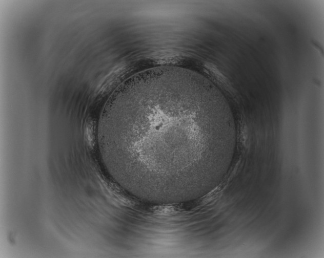 X0000100970074200806241601