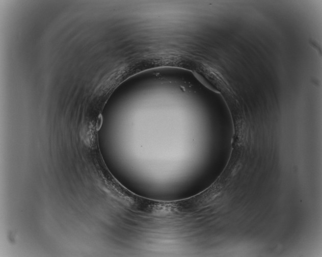 X0000100970077200806241601