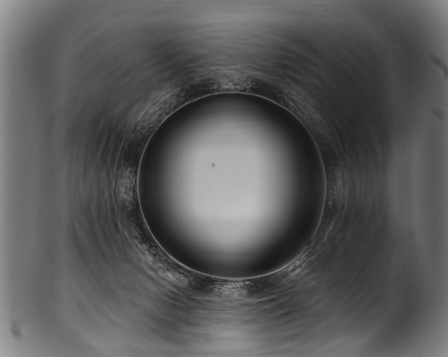 X0000100970078200806241601