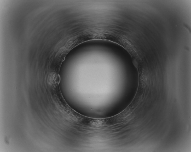 X0000100970079200806241601