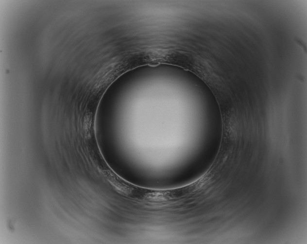 X0000100970082200806241601