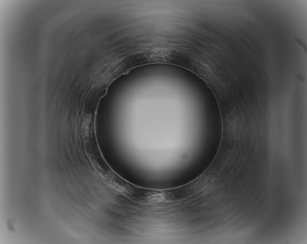 X0000100970083200806241601