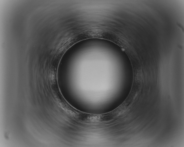 X0000100970084200806241601