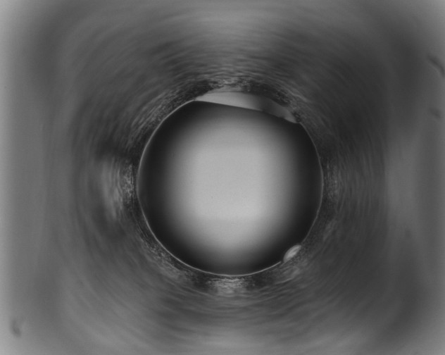 X0000100970085200806241601