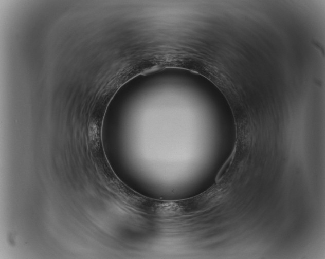 X0000100970087200806241601