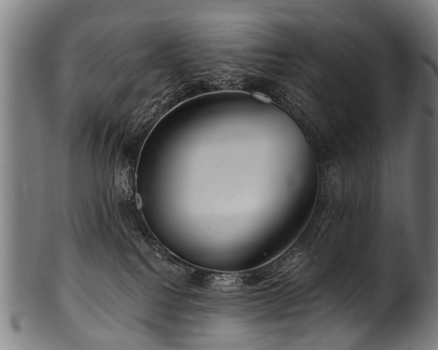 X0000100970088200806241601