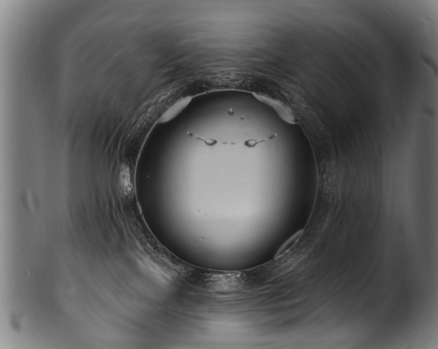 X0000100970089200806241601