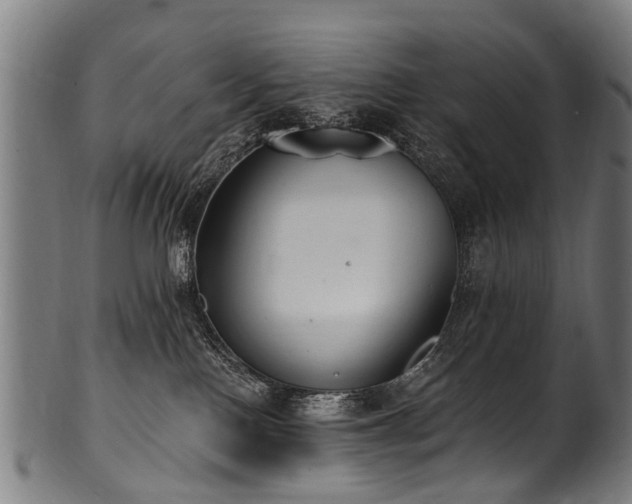 X0000100970090200806241601