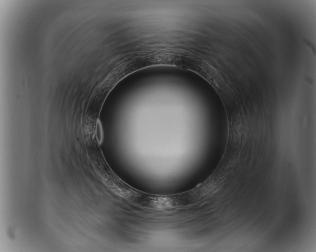 X0000100970091200806241601