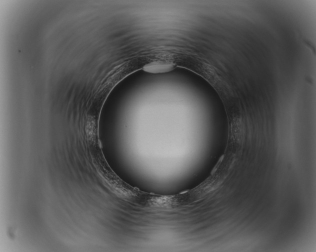 X0000100970092200806241601