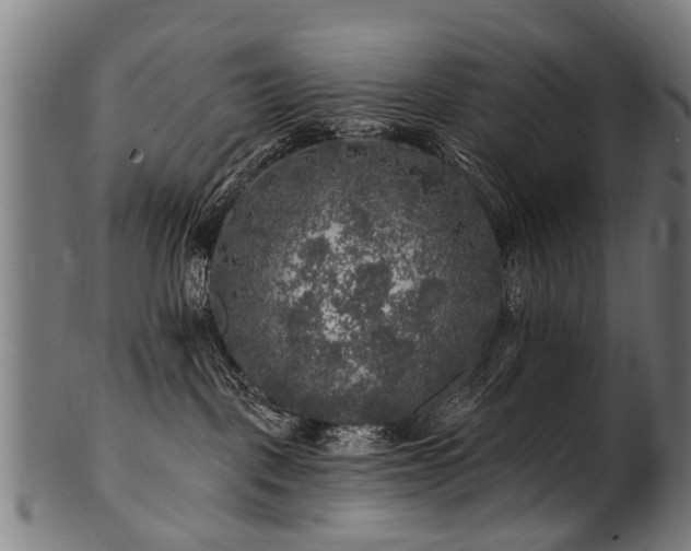 X0000100970093200806241601