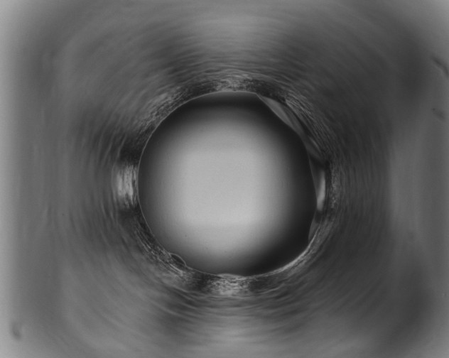 X0000100970094200806241601