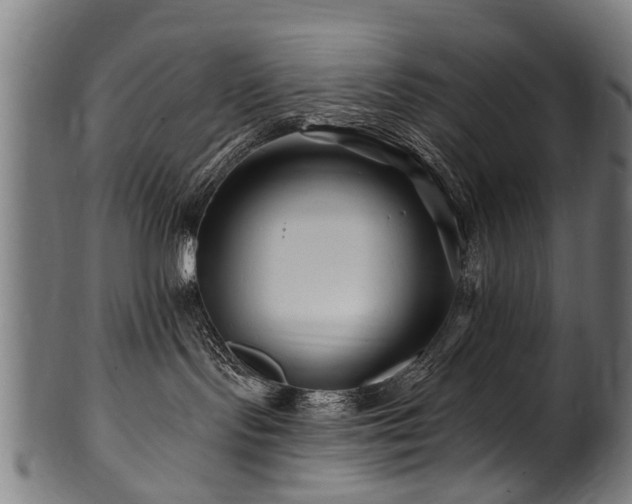 X0000100970095200806241601