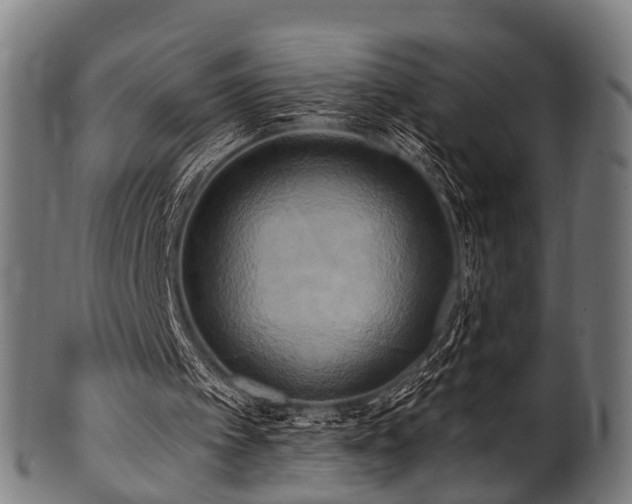 X0000100970097200806241601
