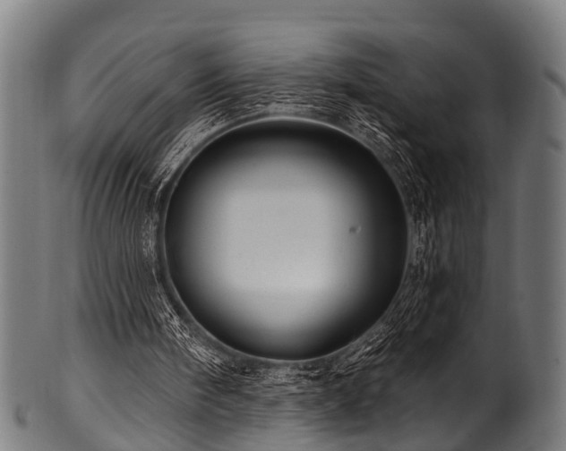 X0000100970098200806241601