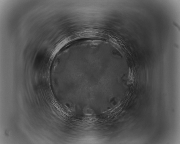 X0000100970099200806241601