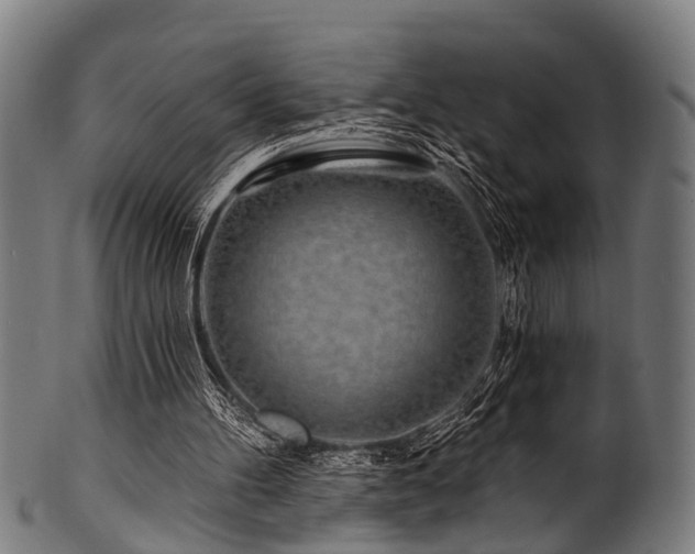 X0000100970100200806241601