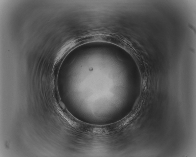 X0000100970101200806241601