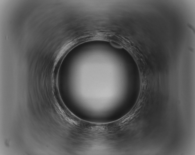 X0000100970102200806241601