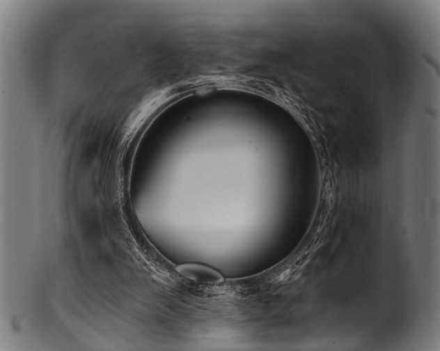 X0000100970103200806241601