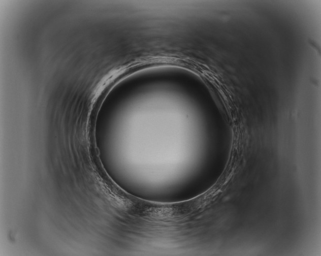 X0000100970104200806241601
