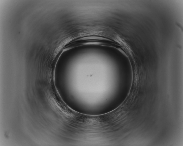 X0000100970107200806241601