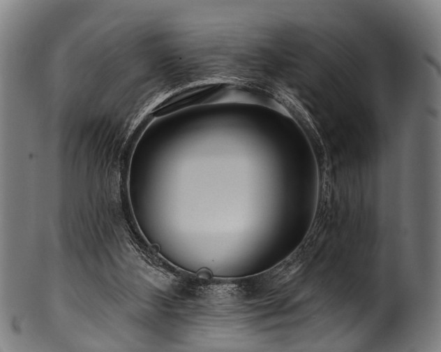 X0000100970108200806241601