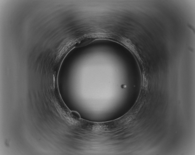 X0000100970109200806241601
