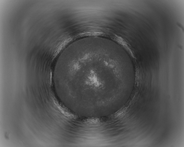 X0000100970110200806241601