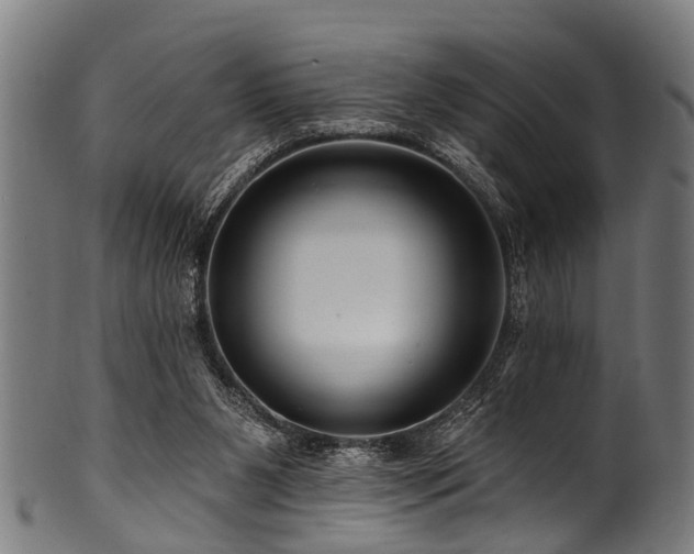 X0000100970111200806241601