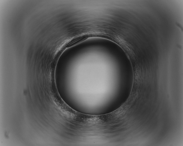 X0000100970112200806241601