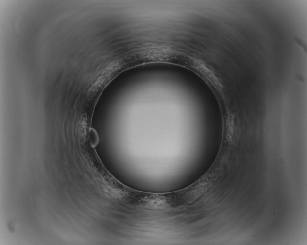 X0000100970113200806241601