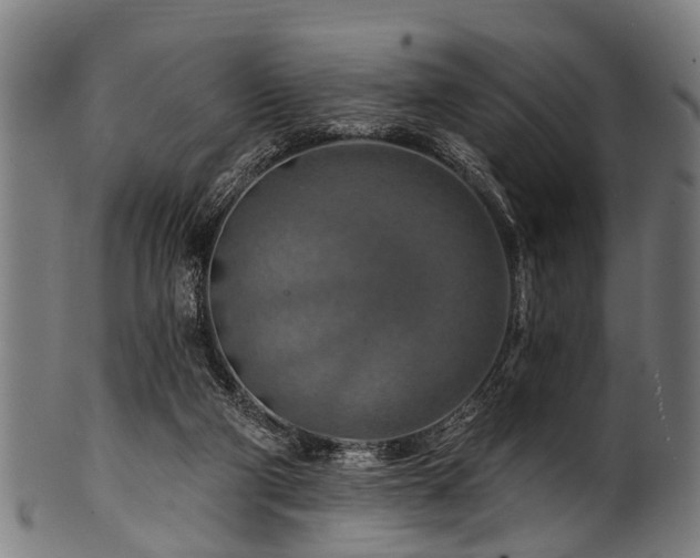 X0000100970114200806241600