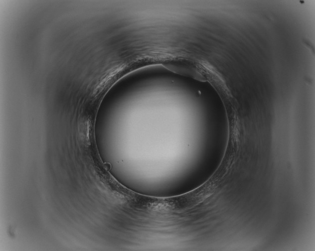 X0000100970115200806241600