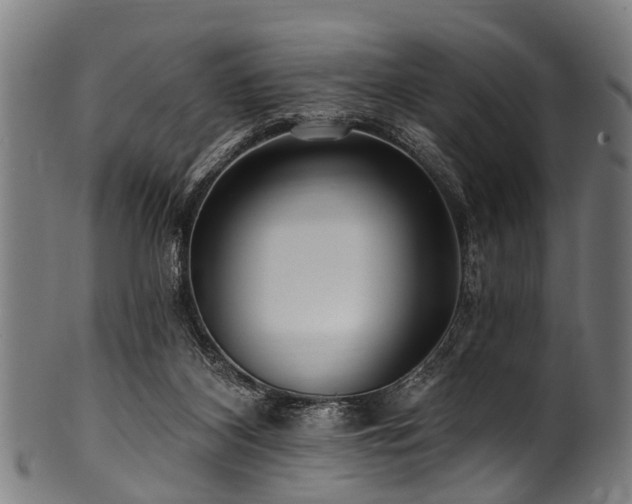 X0000100970116200806241600