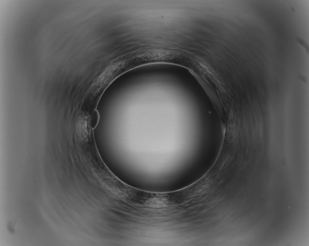 X0000100970119200806241600