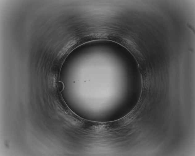 X0000100970120200806241600