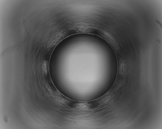 X0000100970121200806241600