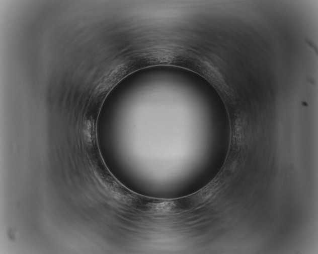 X0000100970122200806241600