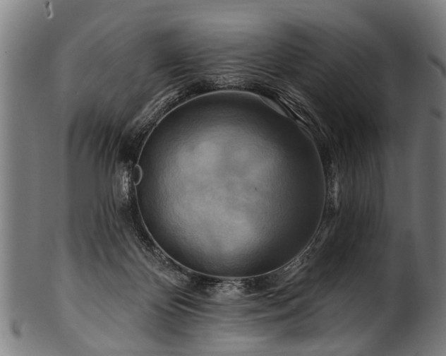 X0000100970124200806241600