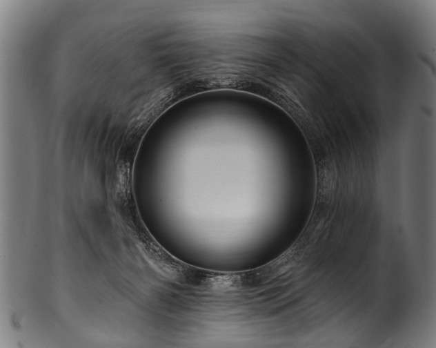 X0000100970126200806241600