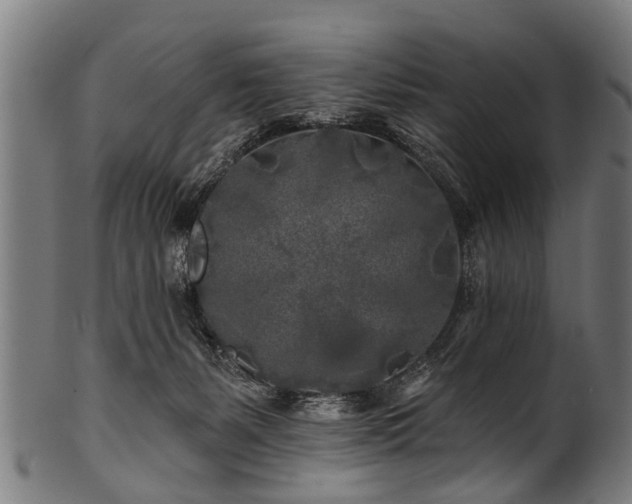 X0000100970127200806241600