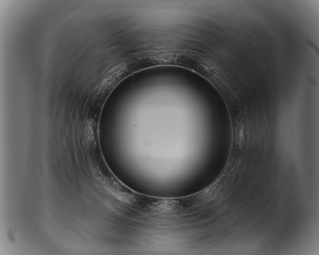 X0000100970128200806241600