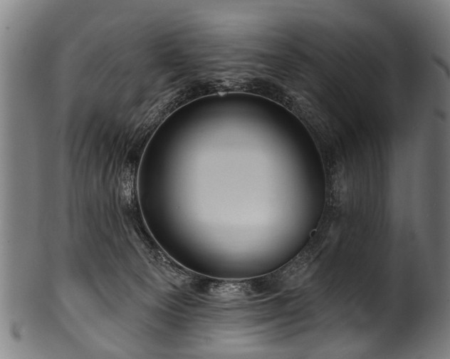 X0000100970129200806241600