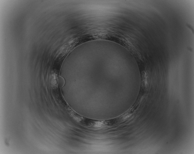 X0000100970130200806241600